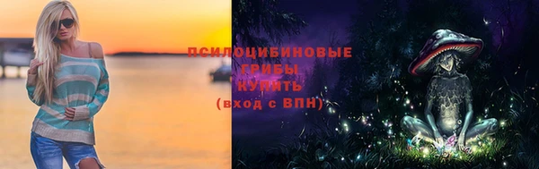соль ск Заводоуковск