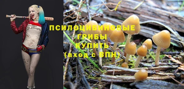 spice Касимов