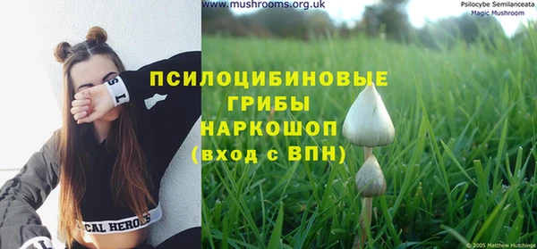 а пвп мука Карталы