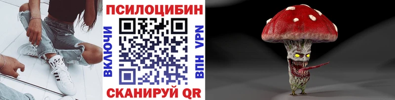 Купить закладки  Ирбит  Галлюциногенные грибы мицелий 